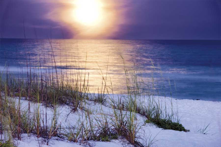 Pensacola Moonrise by artist  Mike Jones