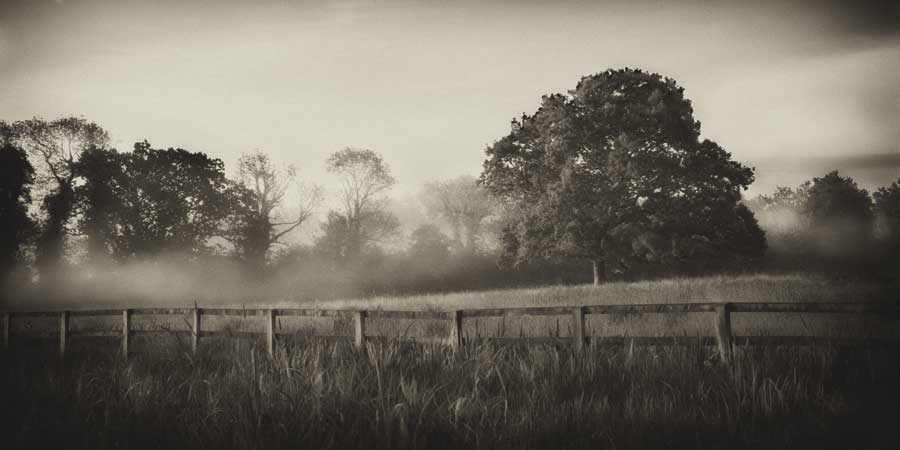 Foggy Day by artist  Janel Pahl