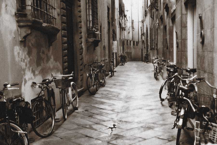 Lucca Bikes by artist  Janel Pahl