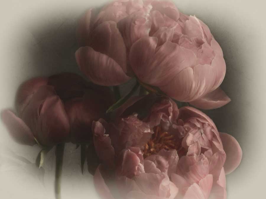 Heavenly by artist  Janel Pahl