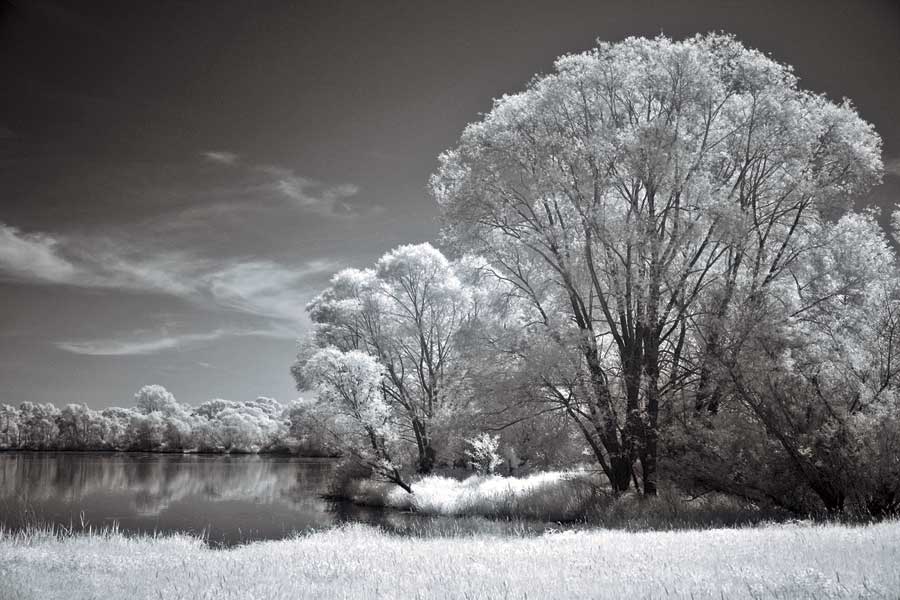 And Quiet by artist  Ily Szilagyi