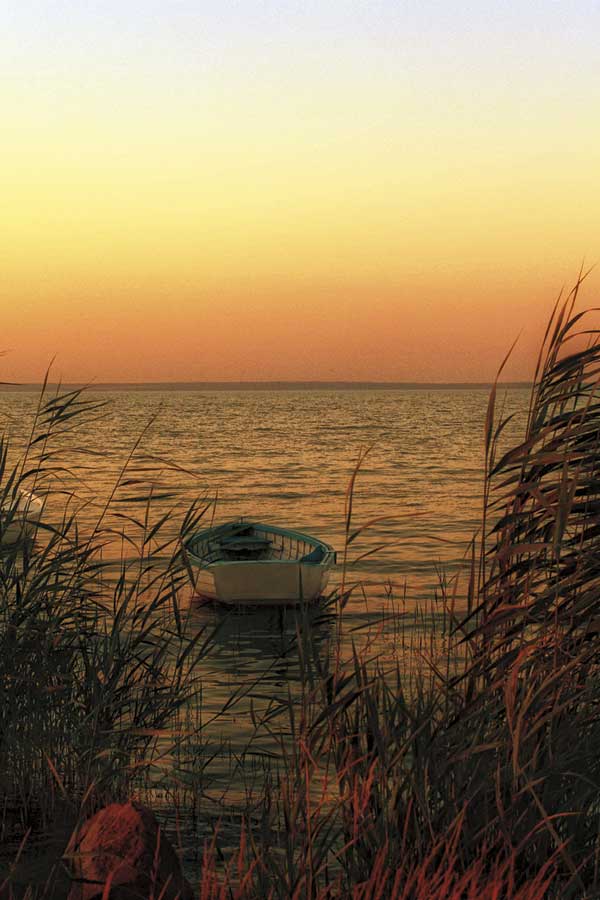 Solo by artist  Ily Szilagyi