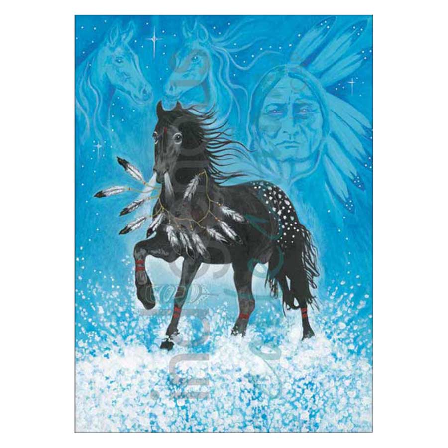 Black Beauty Canvas Prints