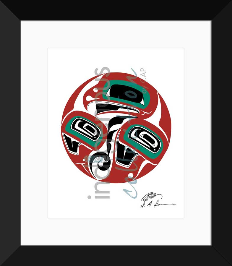 Eagle Limited Edition. Indigenous Collection