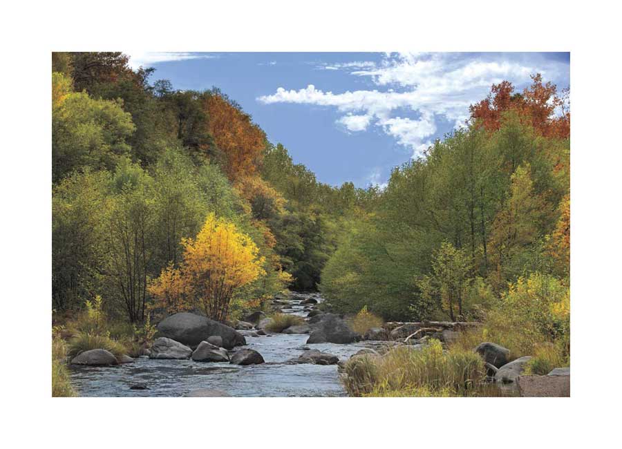 Near Perfect Day by artist  Mike Jones