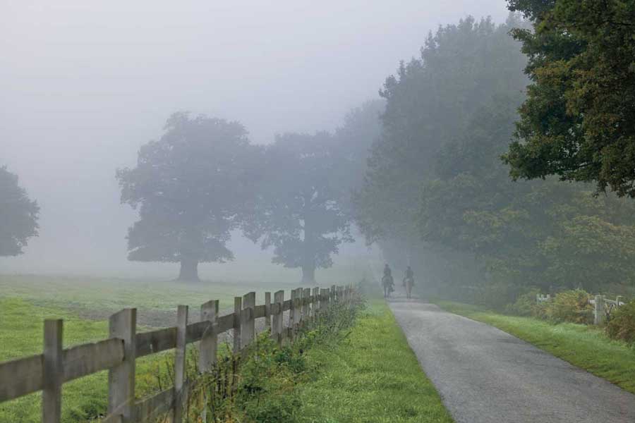 Country Ride by artist  Assaf Frank