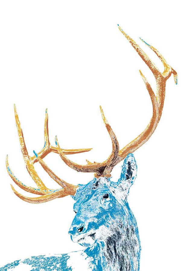 Antlers and All by artist  Marvin Pelkey