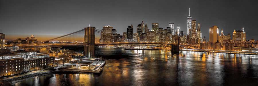 New York Pano by artist  Assaf Frank