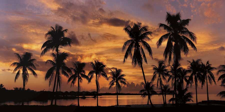 Tropical Sunsets I by artist  Mike Jones