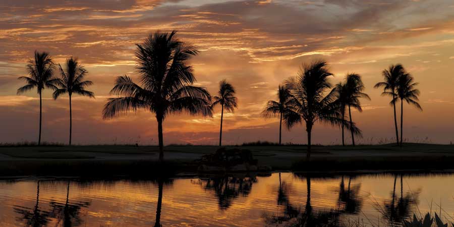 Tropical Sunsets II by artist  Mike Jones