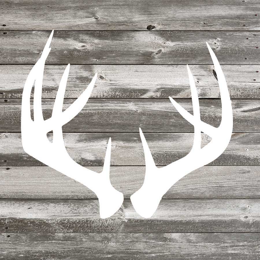 Antler Art II by artist  Tandi Venter