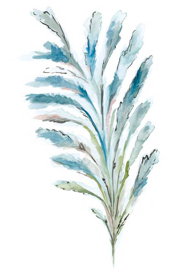 Reach II by artist  Corrie Golden