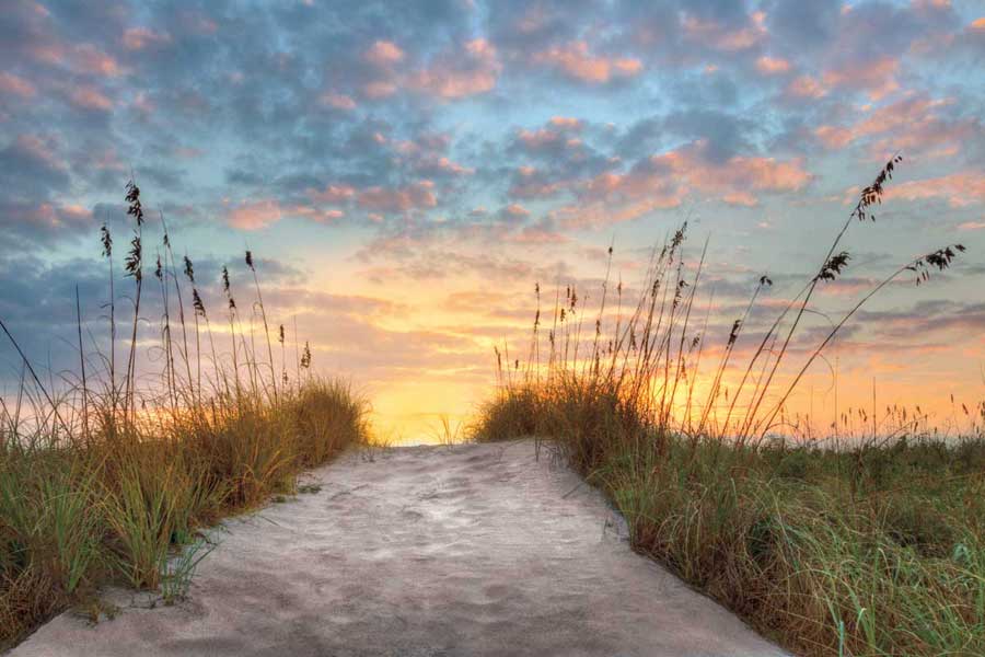 Over the Top by artist  Celebrate Life Gallery