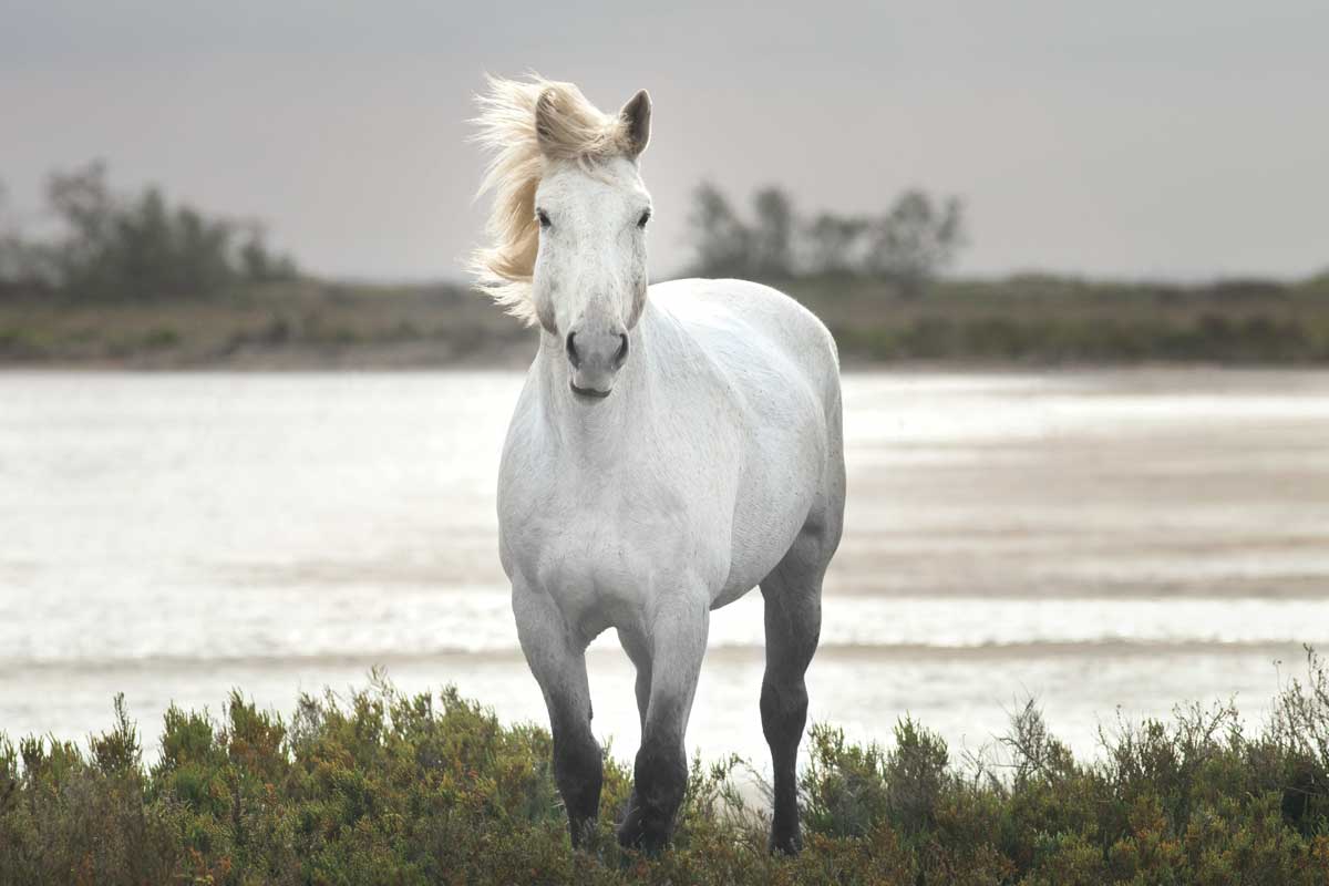 I Stand For You by artist  Jorge Llovet