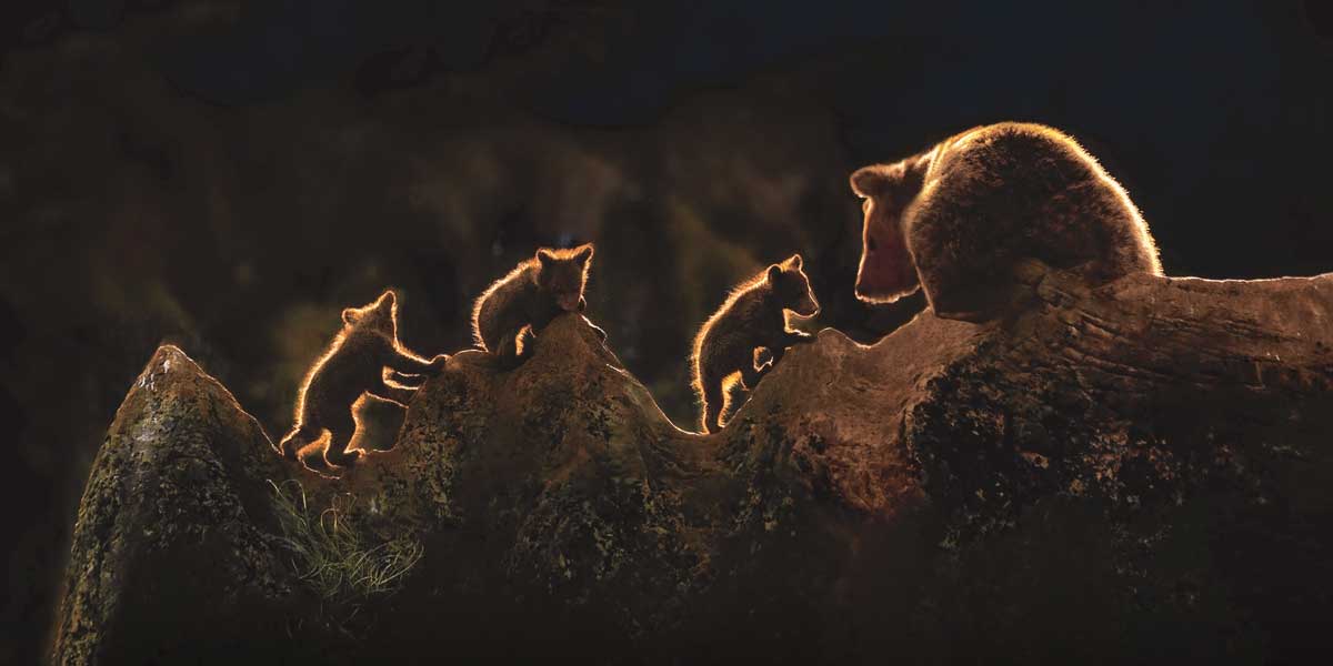 Triplets by artist  Xavier Ortega