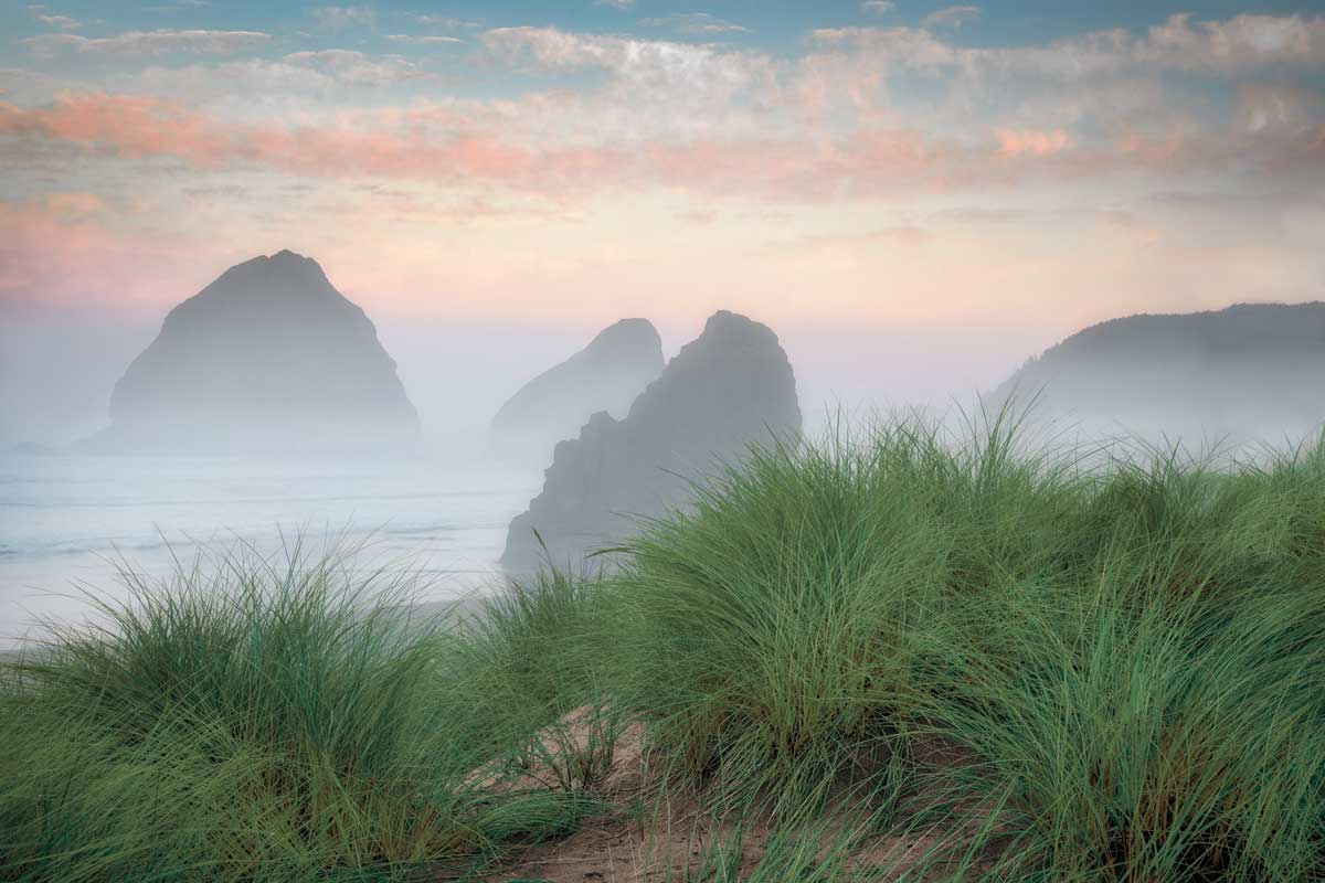 Cape Sebastian by artist  Dennis Frates