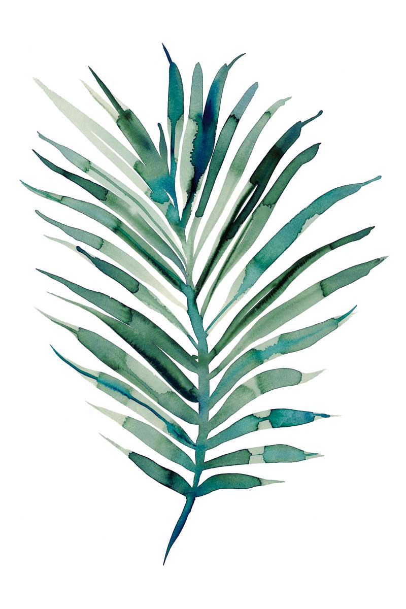 Areca by artist  Marina Billinghurst