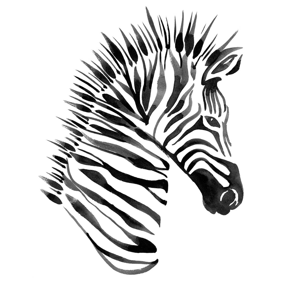 Zebra by artist  Marina Billinghurst