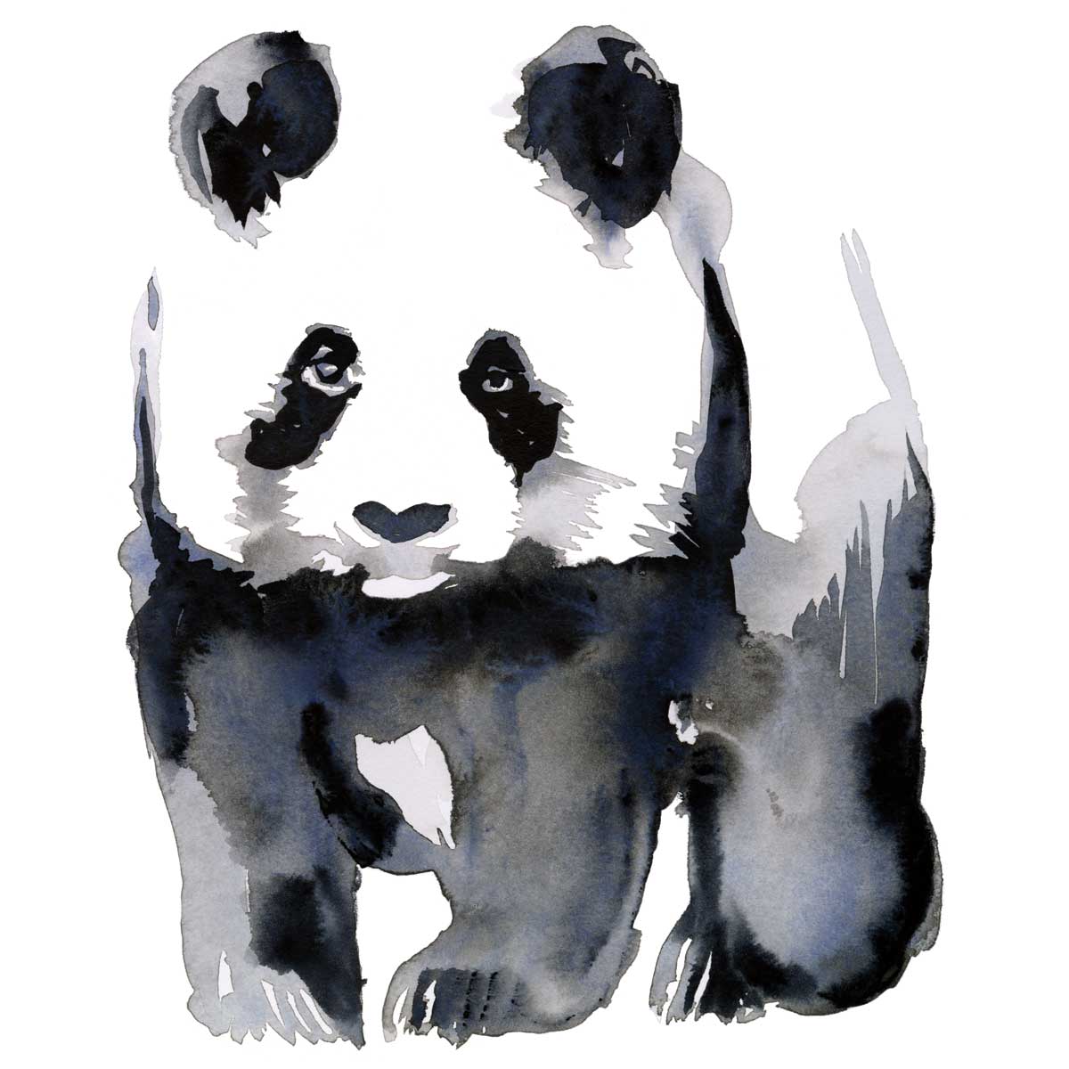 Panda by artist  Marina Billinghurst