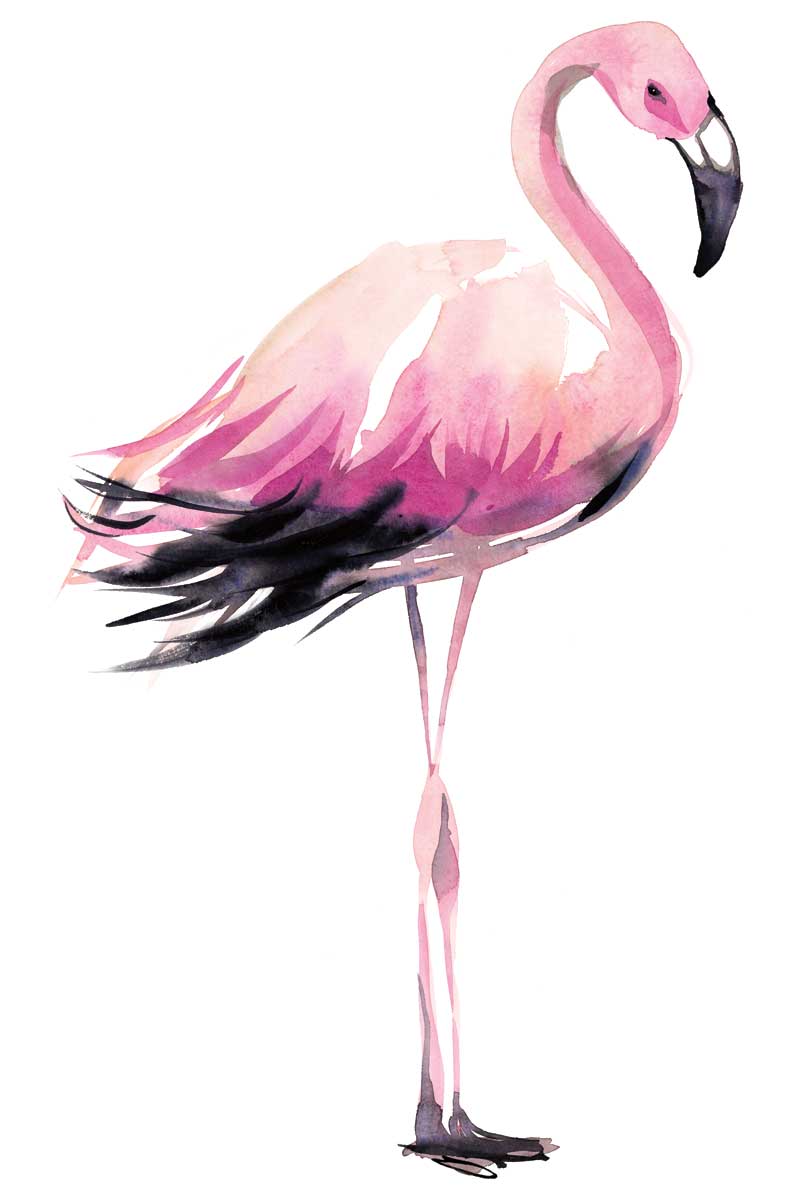 Flamingo by artist  Marina Billinghurst