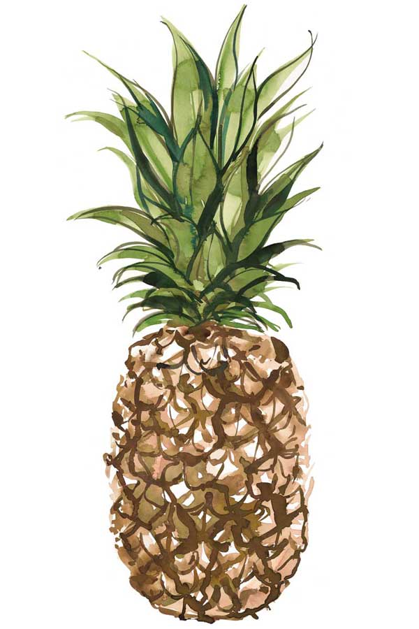 Pineapple by artist  Marina Billinghurst