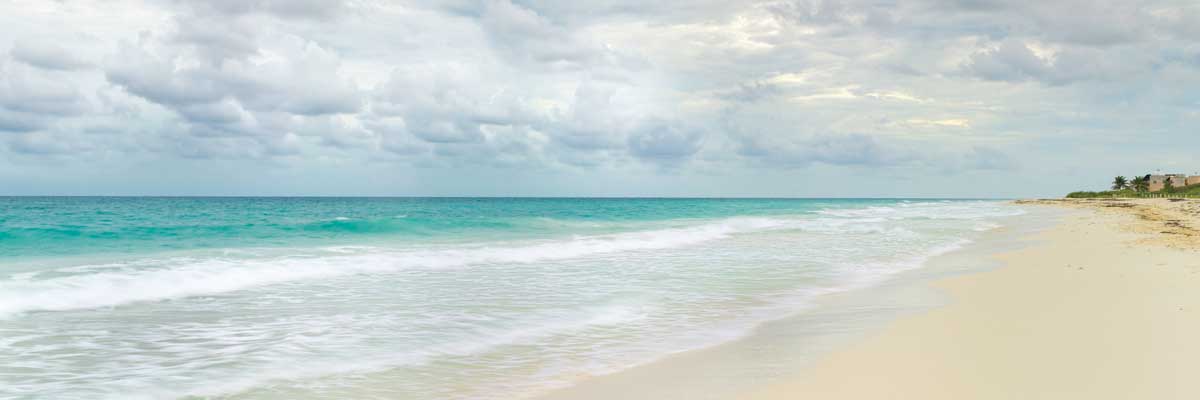 Vacation Time by artist  Assaf Frank