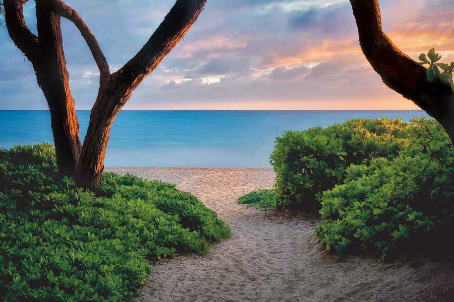 Beach Time by artist  Dennis Frates