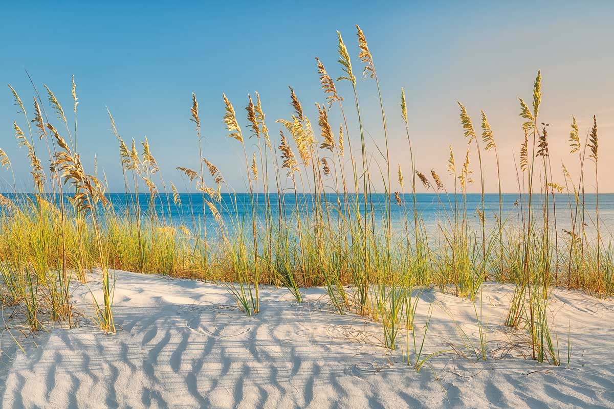 I Love the Beach by artist  Dennis Frates