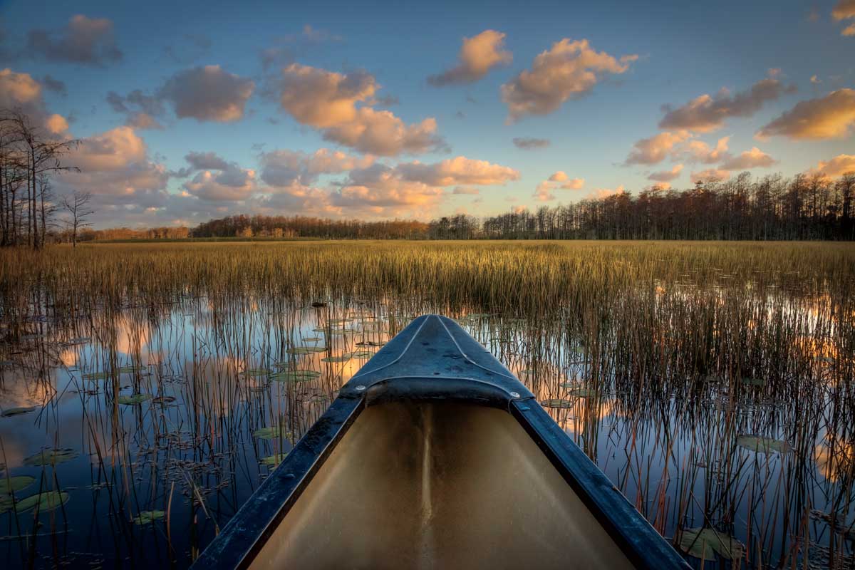Canoeing on the River by artist  Celebrate Life Gallery