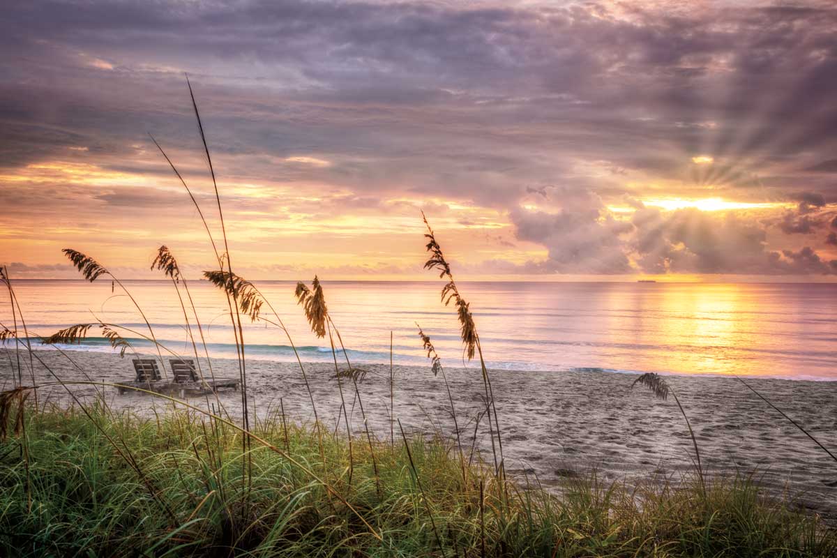 Luminous by artist  Celebrate Life Gallery