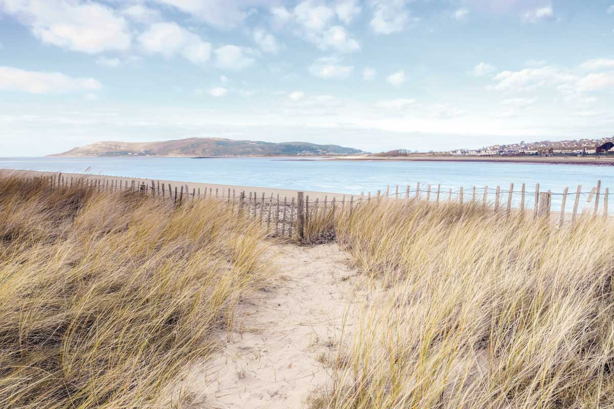 Let's Go by artist  Assaf Frank