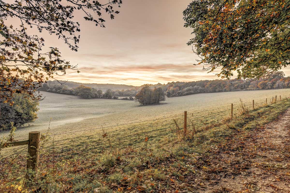 Country Pass by artist  Assaf Frank