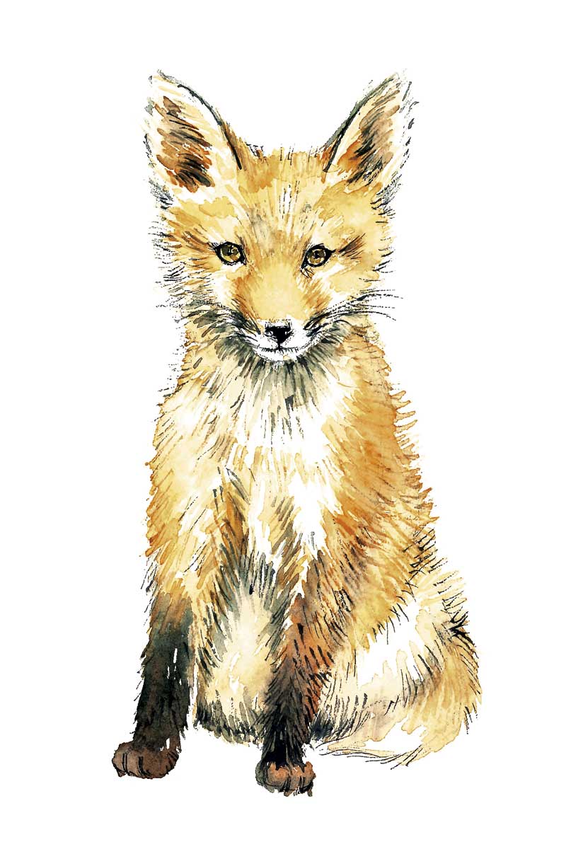 Baby Fox by artist  Elena Markelova