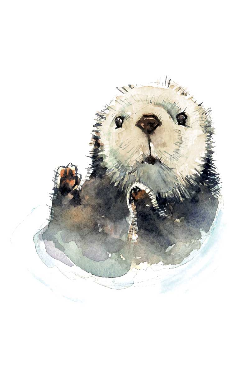 Baby Otter by artist  Elena Markelova