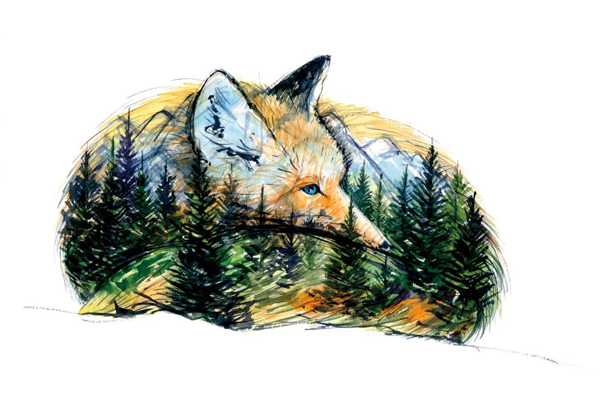 Fox by artist  Elena Markelova