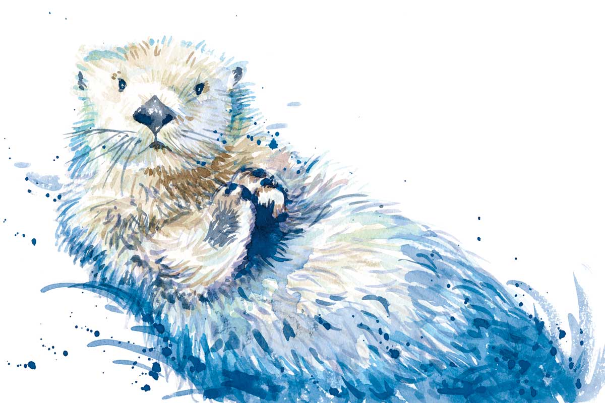 Otter by artist  Elena Markelova