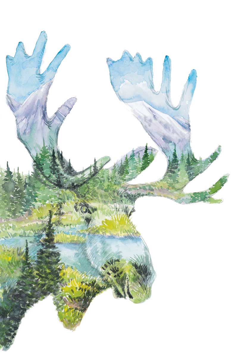 Moose by artist  Elena Markelova