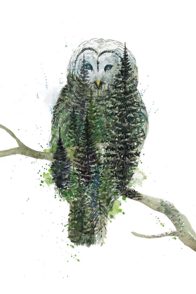 Owl by artist  Elena Markelova