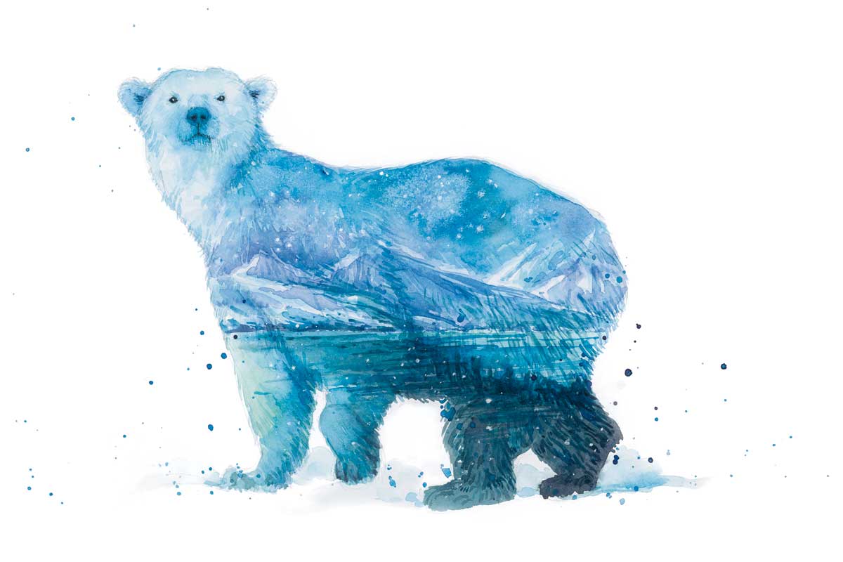 Polar Bear by artist  Elena Markelova