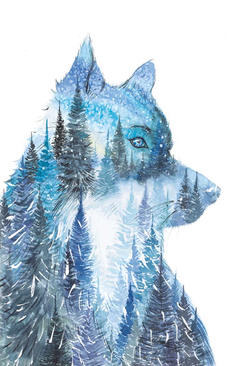 Wolf by artist  Elena Markelova