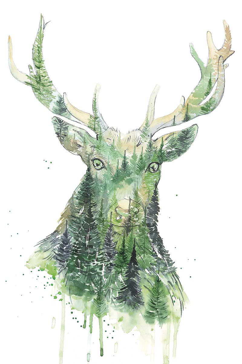 Deer by artist  Elena Markelova