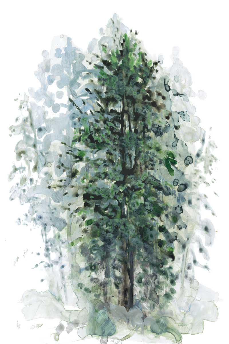 Tree in the Midst by artist  Rebecca Meyers