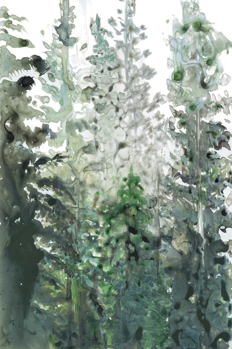 Green Forest by artist  Rebecca Meyers