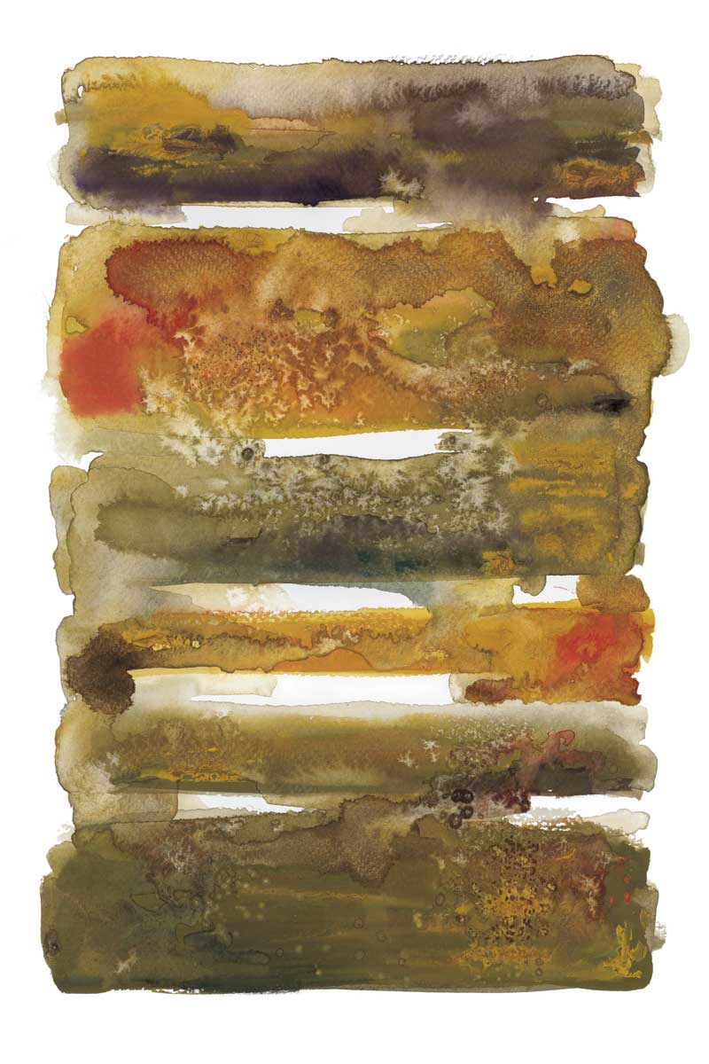 Dreaming Ochre II by artist  Wani Pasion