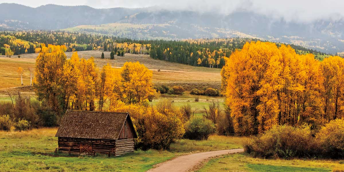 Log Barn by artist  Ken Smith