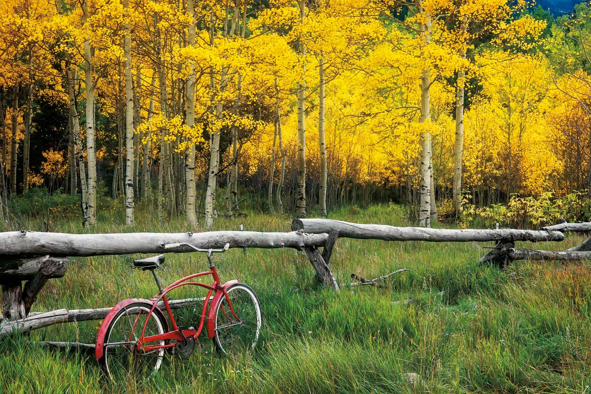 Red Cruiser by artist  Ken Smith