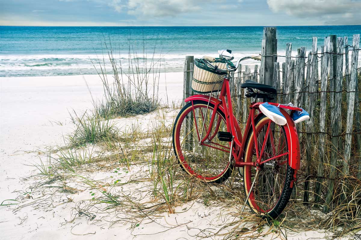 Summer Breeze by artist  Ken Smith