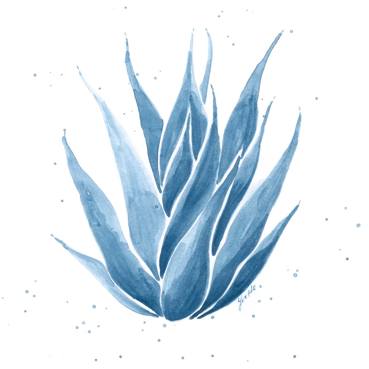 Midnight Succulent II by artist  Yvette St. Amant