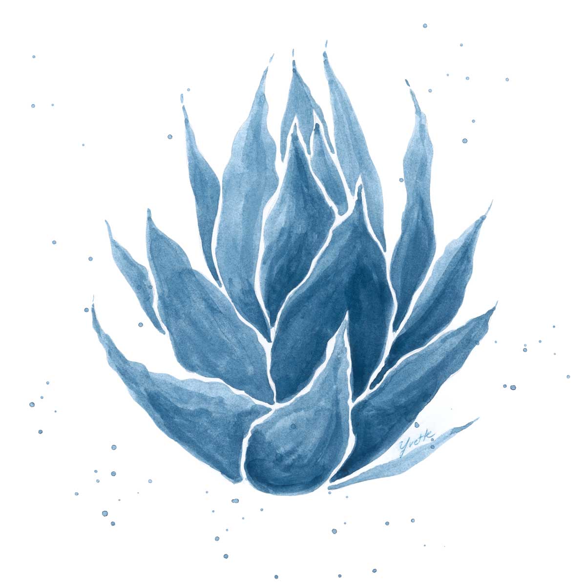 Midnight Succulent III by artist  Yvette St. Amant