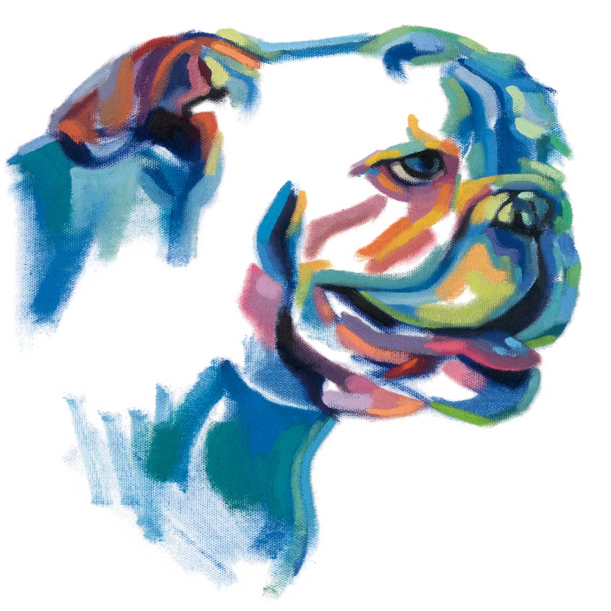 Bulldog by artist  Andrew Talbot